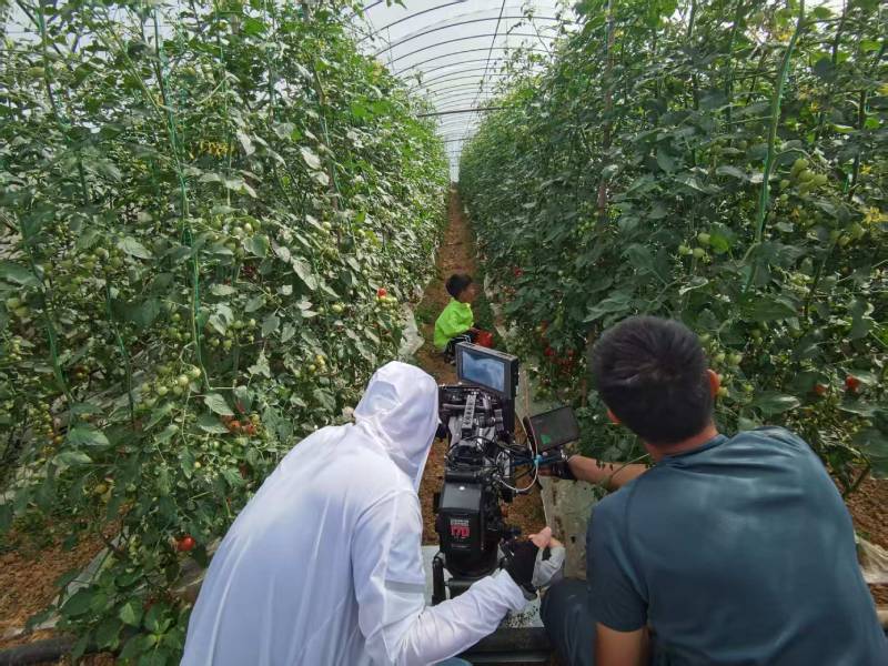 安图县产品宣传视频拍摄公司进阶指南，助力品牌抢占传播高地